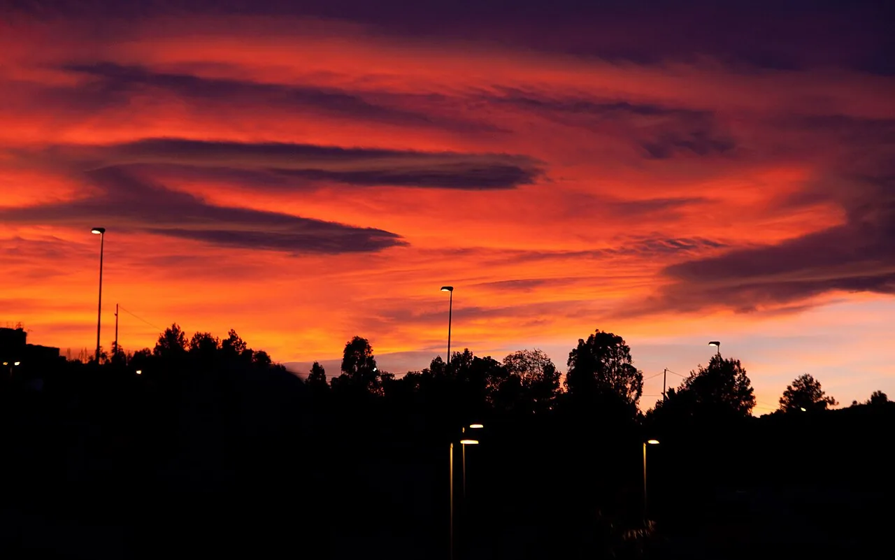 Atardecer en el entorno